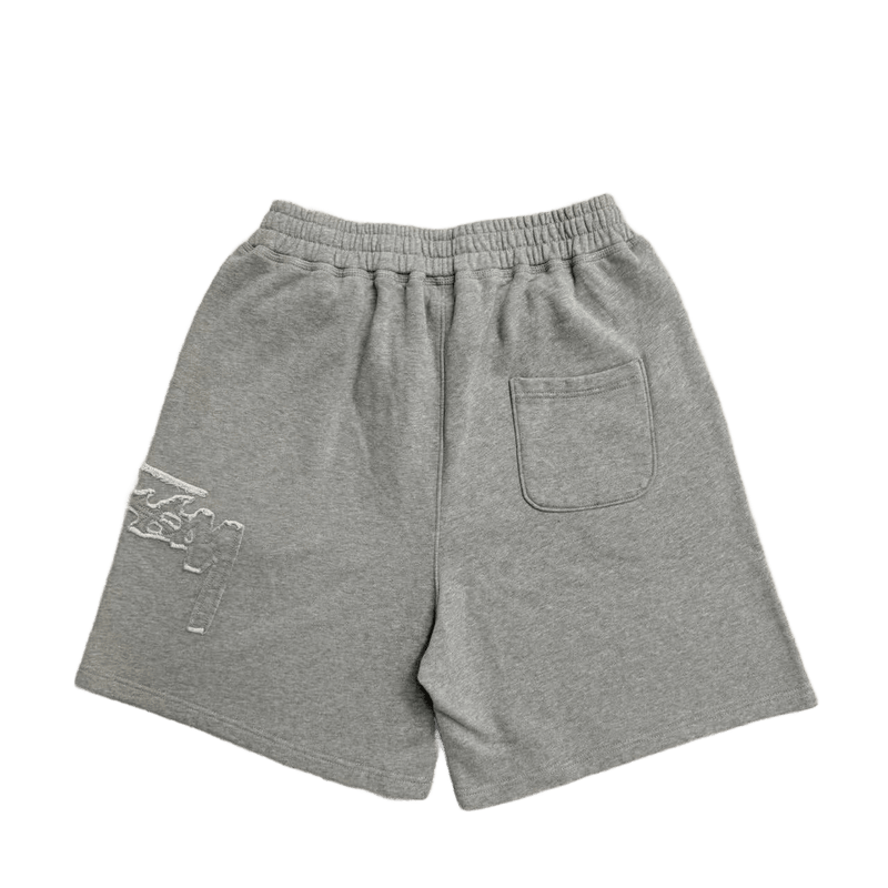ST*SSY SHORTS