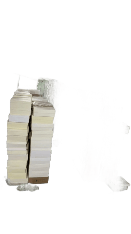 ALEX*NDER MCQUE*N ALEATORIAS